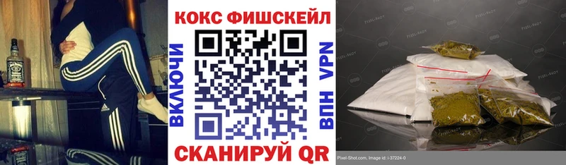 продажа наркотиков Зима КОКАИН Fish Scale