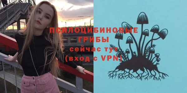 гидропоника Покачи