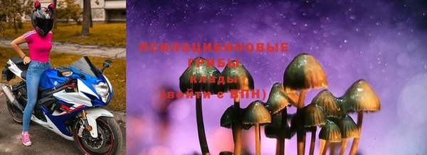 гидропоника Покачи