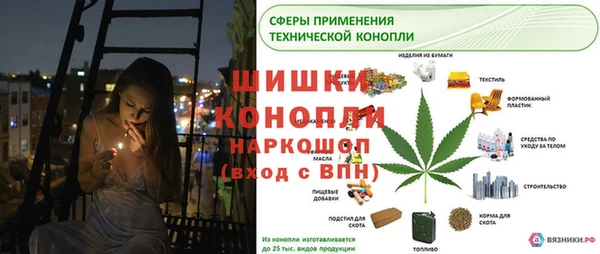 ALPHA PVP Покров