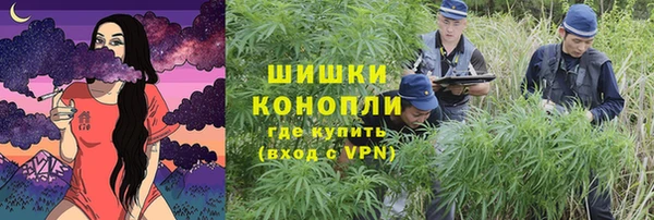 ALPHA PVP Покров