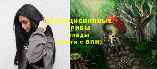ALPHA PVP Покров