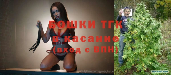 ALPHA PVP Покров