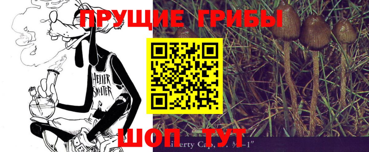 Галлюциногенные грибы Psilocybine cubensis Зима