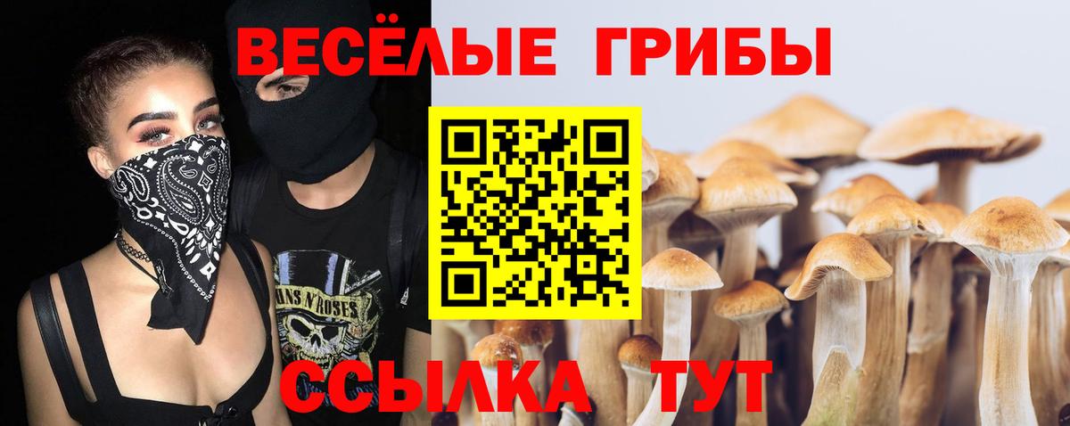 Псилоцибиновые грибы мицелий Зима