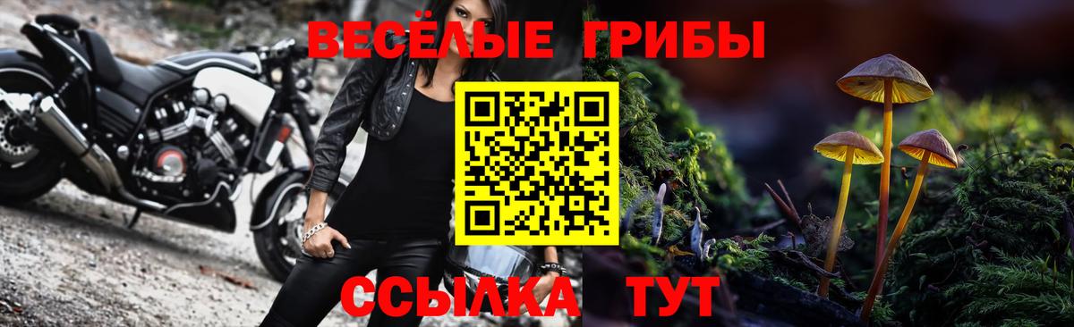 Псилоцибиновые грибы мицелий  как найти закладки  Зима 